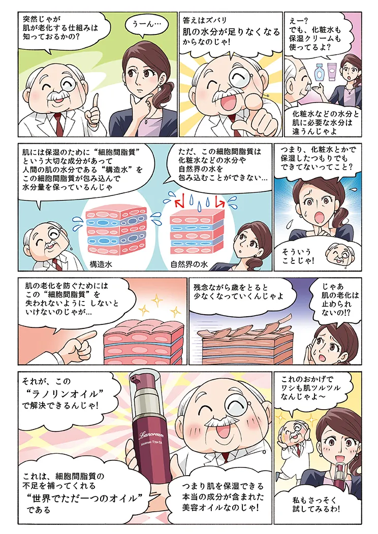 美容オイル「ラノリーム」DMに同封する漫画 制作イメージ